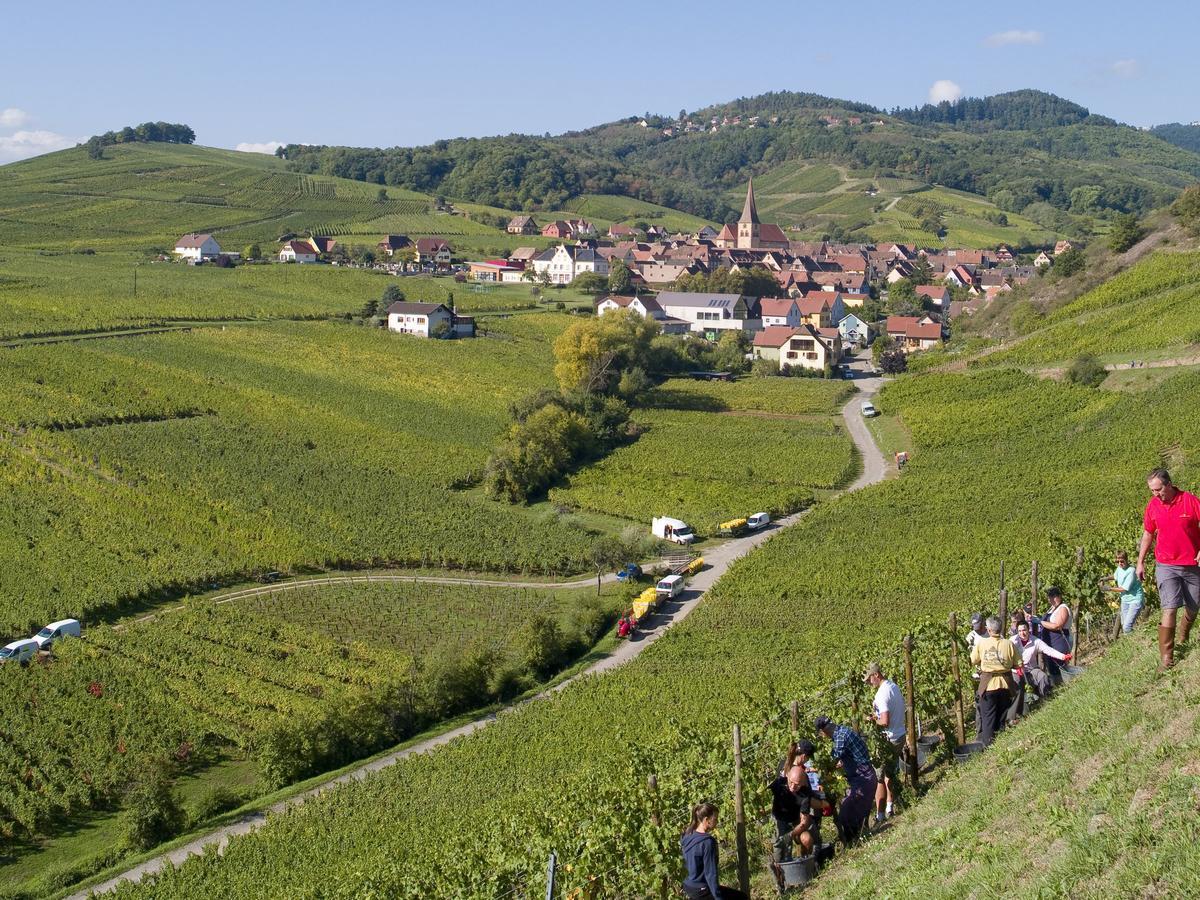 Quaint Chalet In La Bresse With Sauna别墅 外观 照片