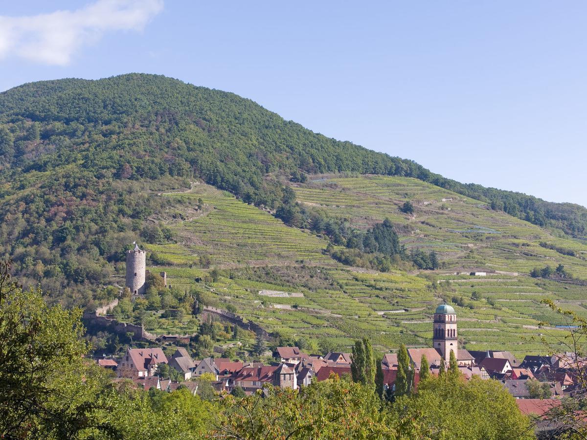 Quaint Chalet In La Bresse With Sauna别墅 外观 照片